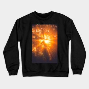 Sunbeams through tree in morning fog Crewneck Sweatshirt